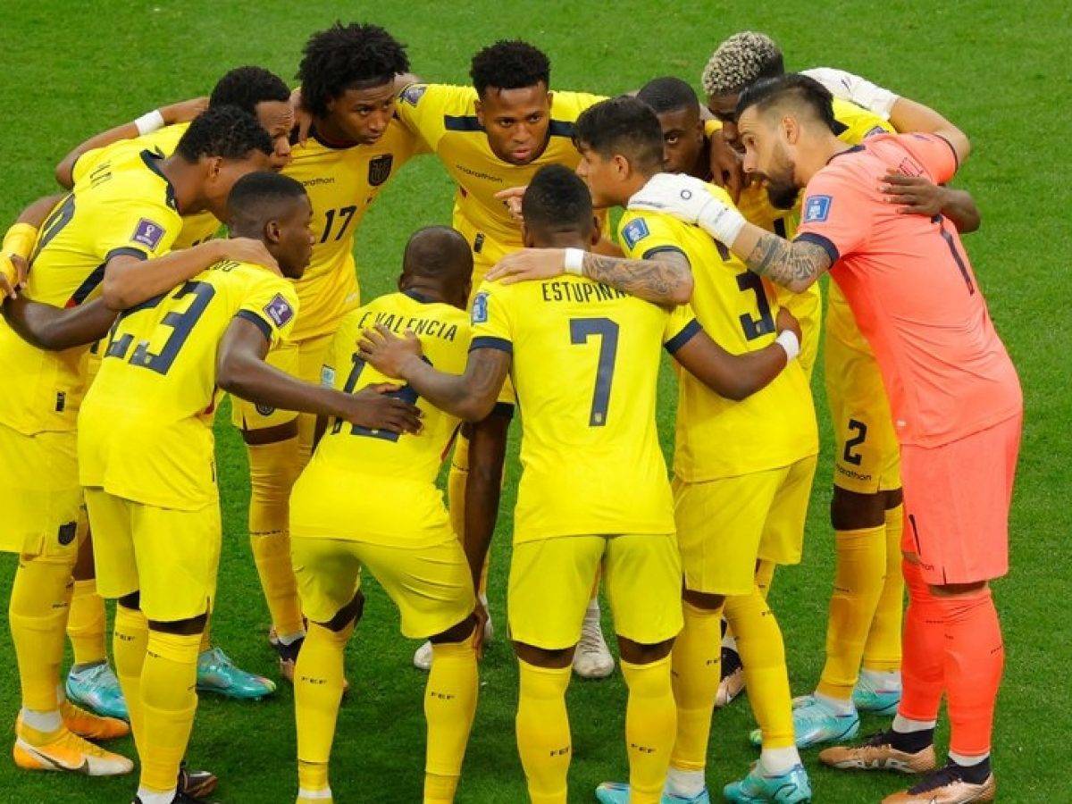 塞内加尔碾压荷兰，哈弗茨统治全场