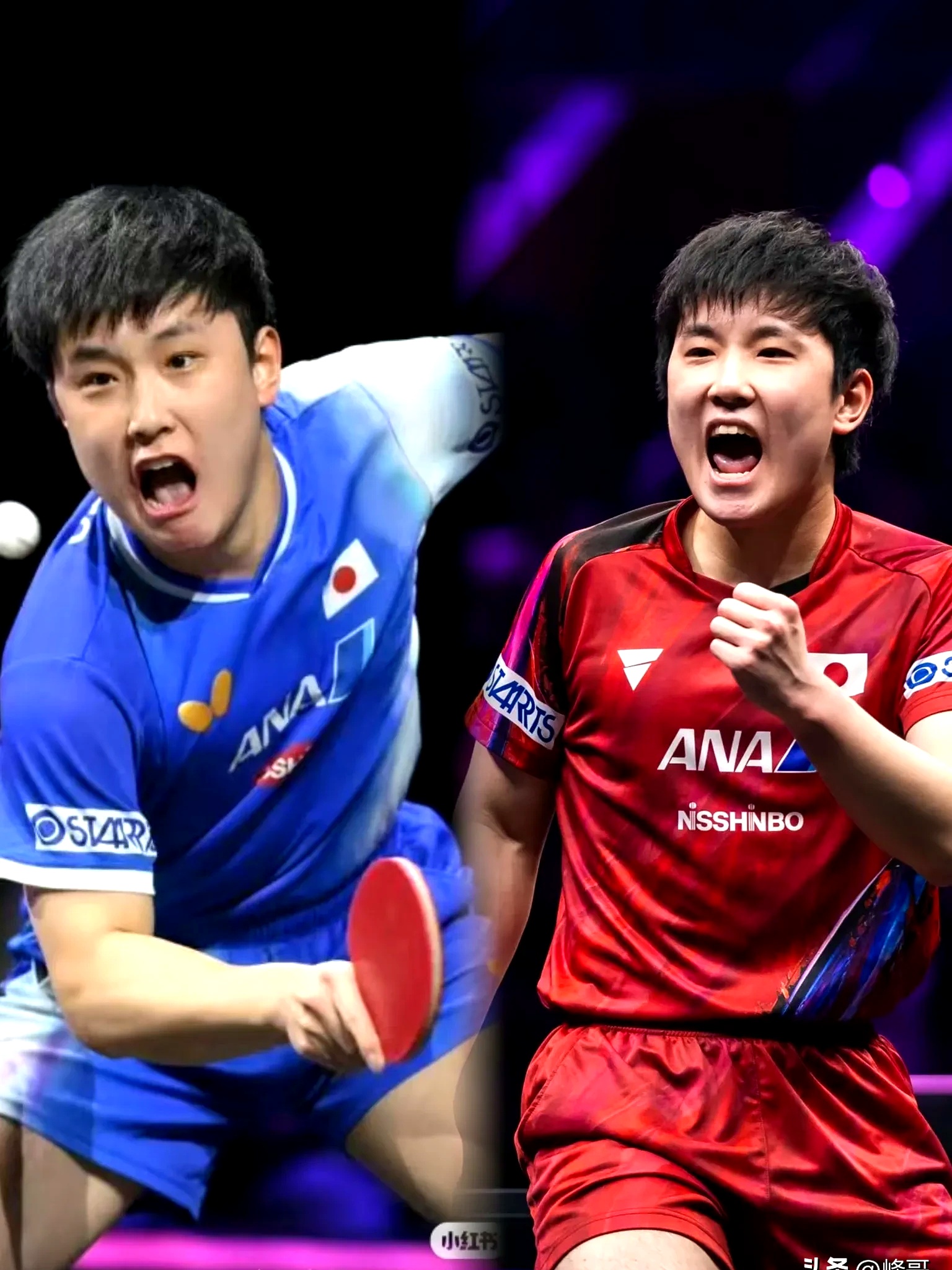 韩国队逆转波兰队，张本智和扛起全队